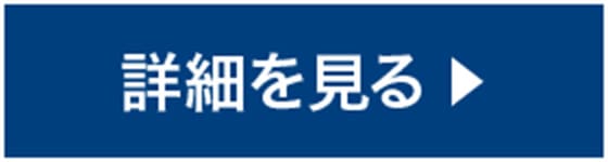 詳細を見る